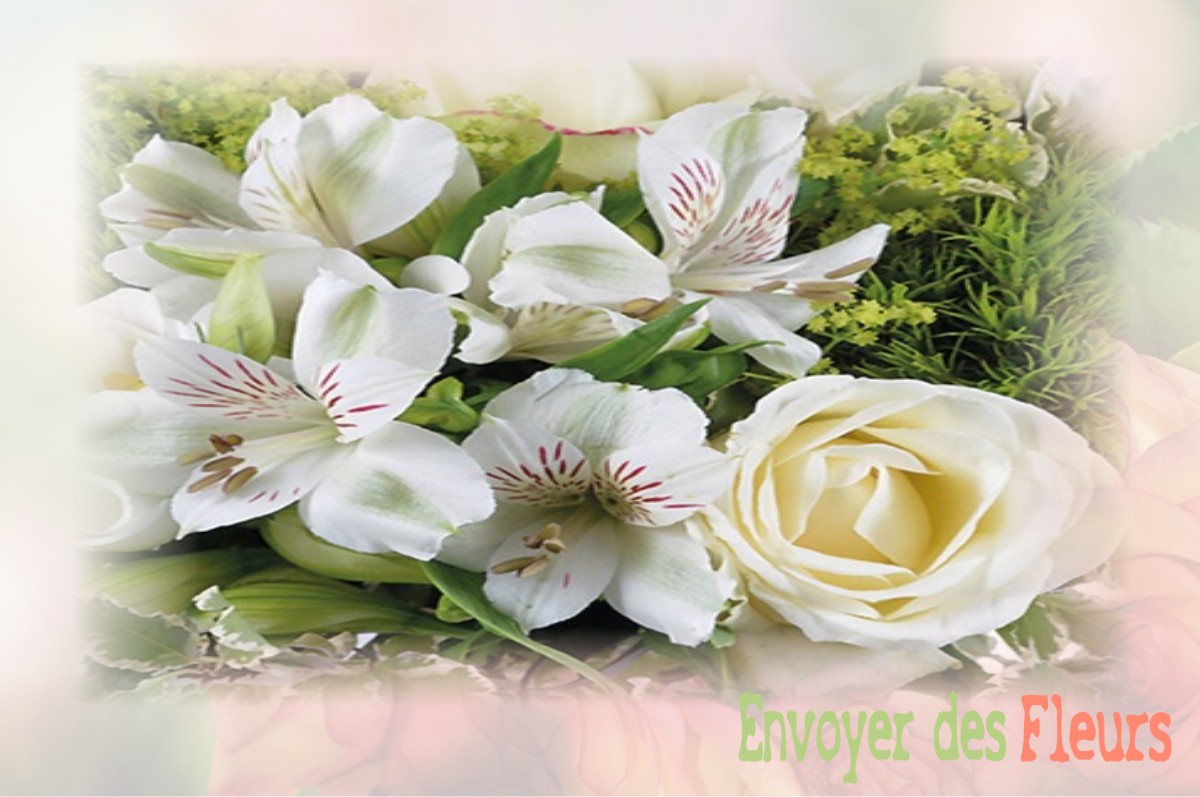 envoyer des fleurs à à SEILLONS-SOURCE-D-ARGENS